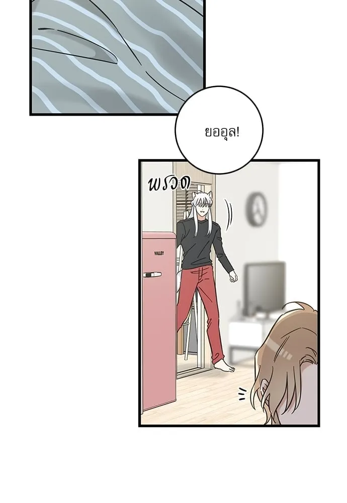 My One and Only Cat ตอนที่ 5344 My One and Only Cat ตอนที่ 5344