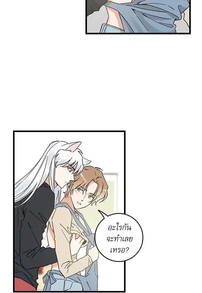 My One and Only Cat ตอนที่ 5348 My One and Only Cat ตอนที่ 5348