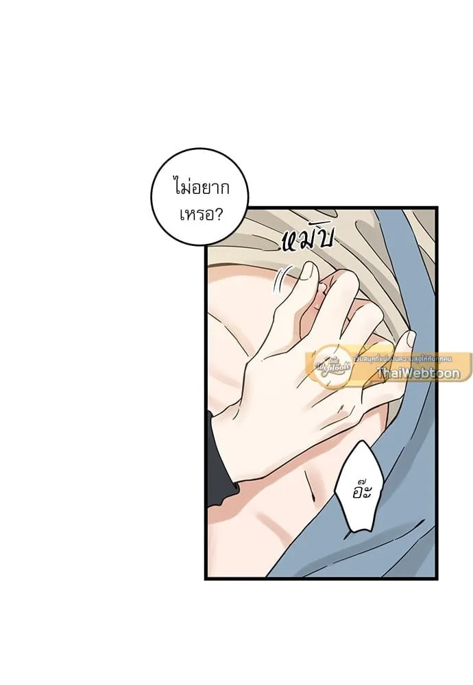 My One and Only Cat ตอนที่ 5349 My One and Only Cat ตอนที่ 5349