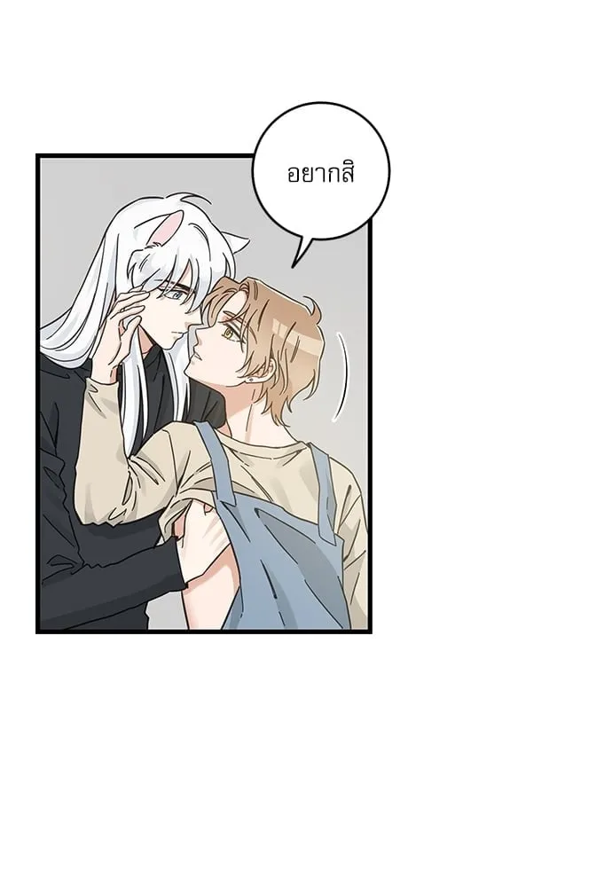 My One and Only Cat ตอนที่ 5350 My One and Only Cat ตอนที่ 5350