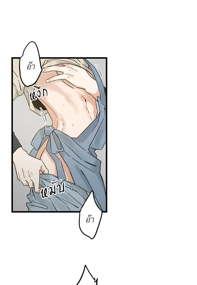 My One and Only Cat ตอนที่ 5352 My One and Only Cat ตอนที่ 5352