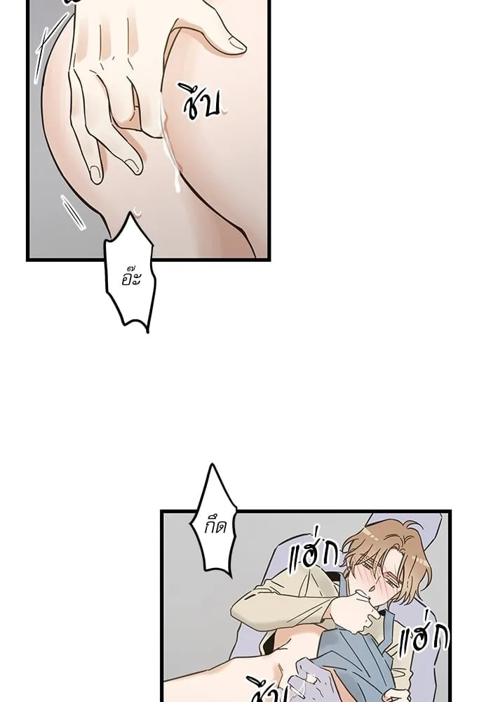 My One and Only Cat ตอนที่ 5354 My One and Only Cat ตอนที่ 5354