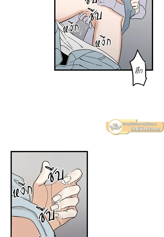 My One and Only Cat ตอนที่ 5355 My One and Only Cat ตอนที่ 5355