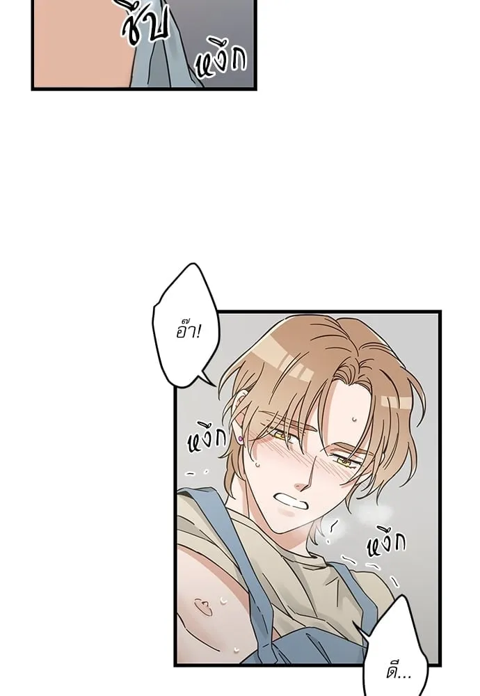 My One and Only Cat ตอนที่ 5356 My One and Only Cat ตอนที่ 5356