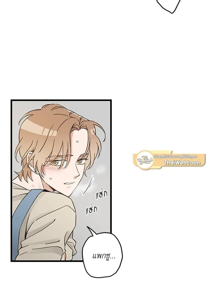 My One and Only Cat ตอนที่ 5357 My One and Only Cat ตอนที่ 5357