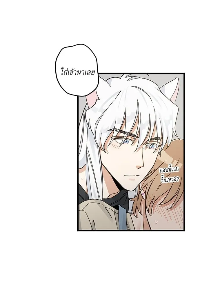 My One and Only Cat ตอนที่ 5358 My One and Only Cat ตอนที่ 5358