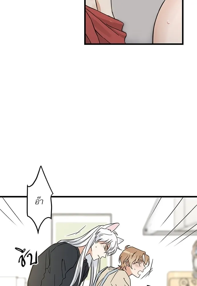 My One and Only Cat ตอนที่ 5360 My One and Only Cat ตอนที่ 5360