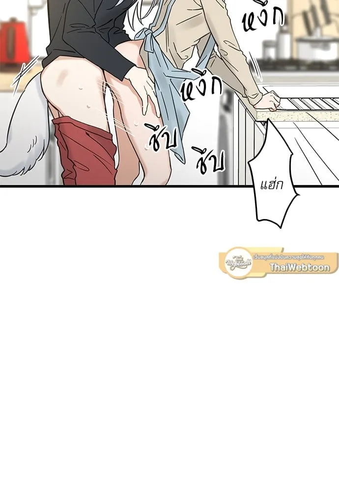 My One and Only Cat ตอนที่ 5361 My One and Only Cat ตอนที่ 5361