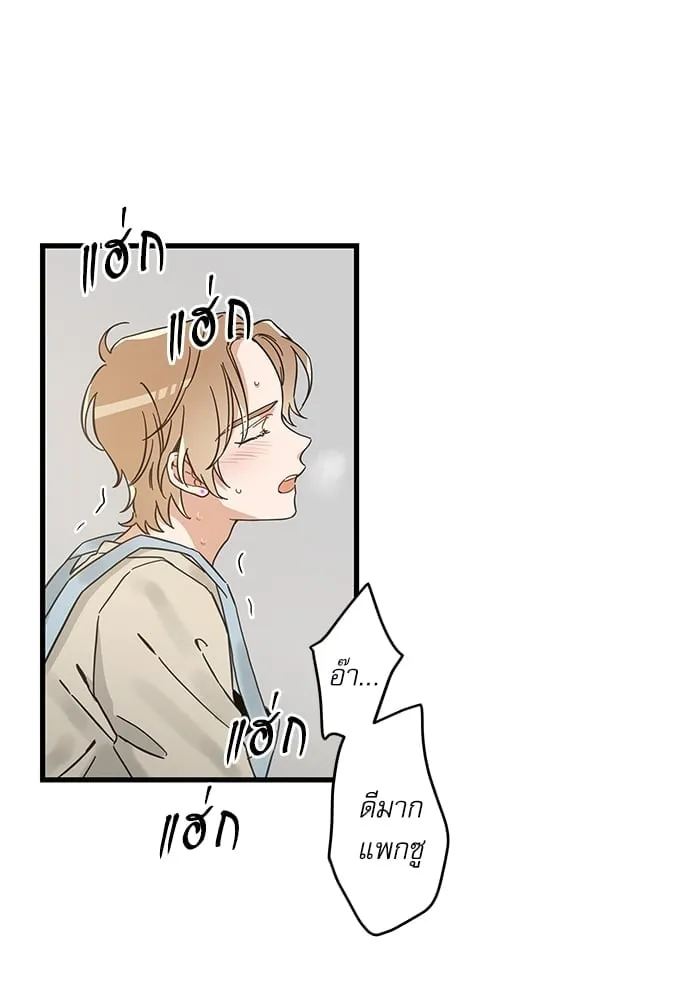 My One and Only Cat ตอนที่ 5362 My One and Only Cat ตอนที่ 5362