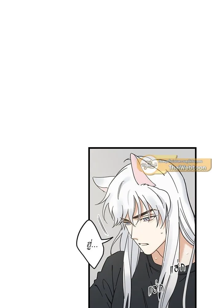 My One and Only Cat ตอนที่ 5363 My One and Only Cat ตอนที่ 5363