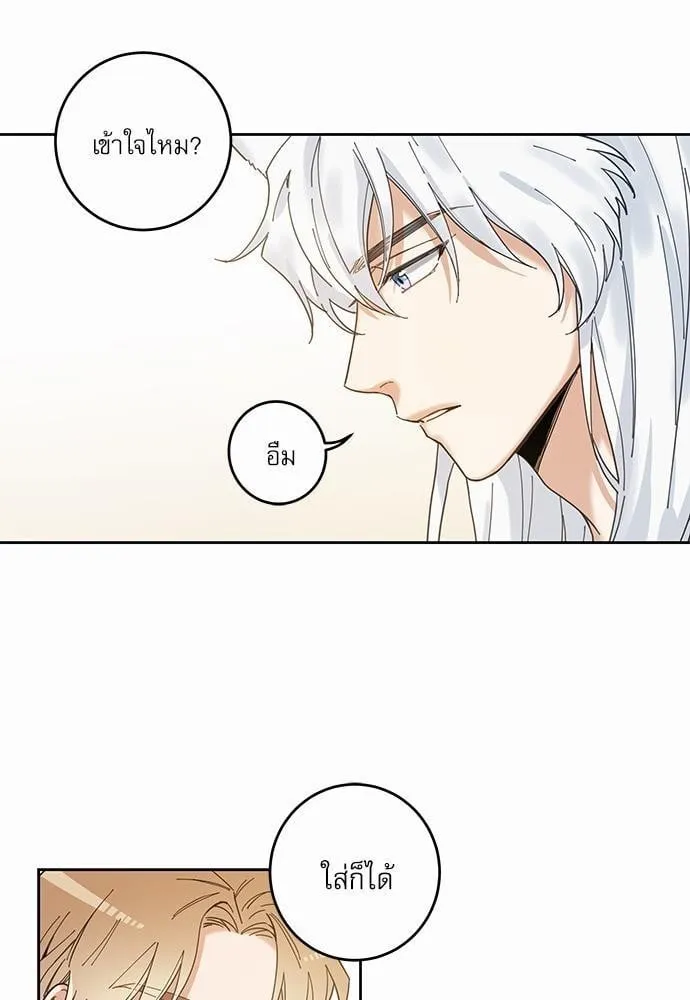 My One and Only Cat ตอนที่ 537 My One and Only Cat ตอนที่ 537