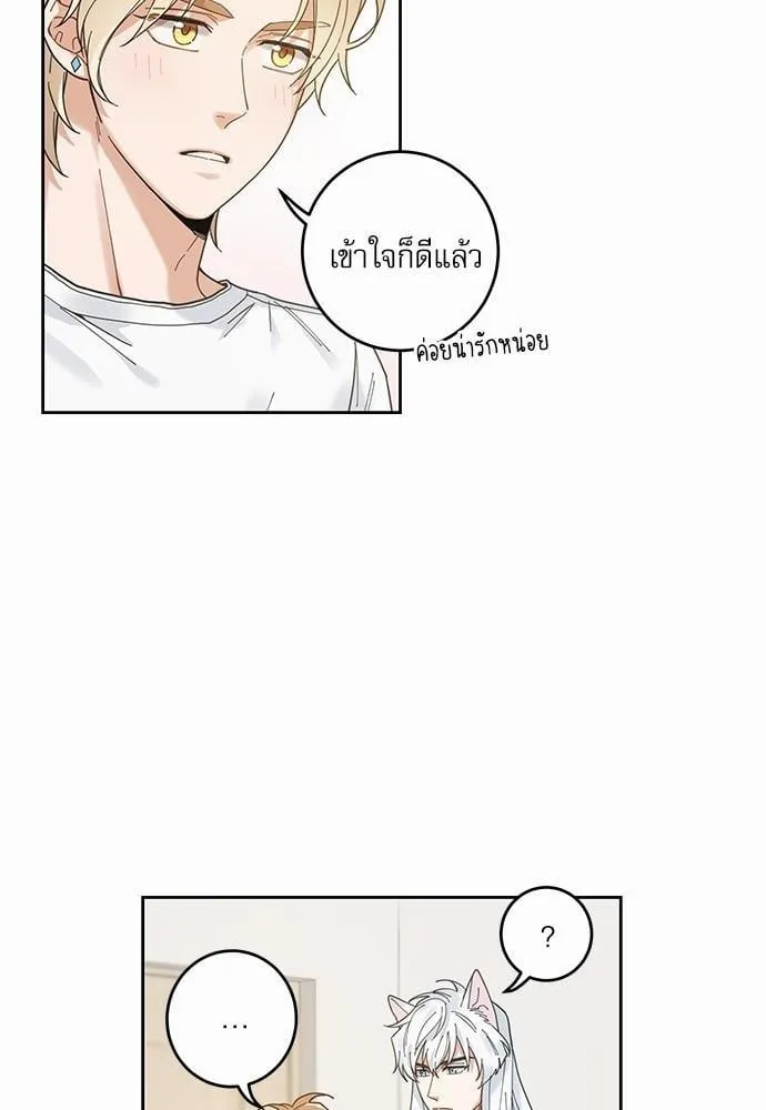 My One and Only Cat ตอนที่ 538 My One and Only Cat ตอนที่ 538