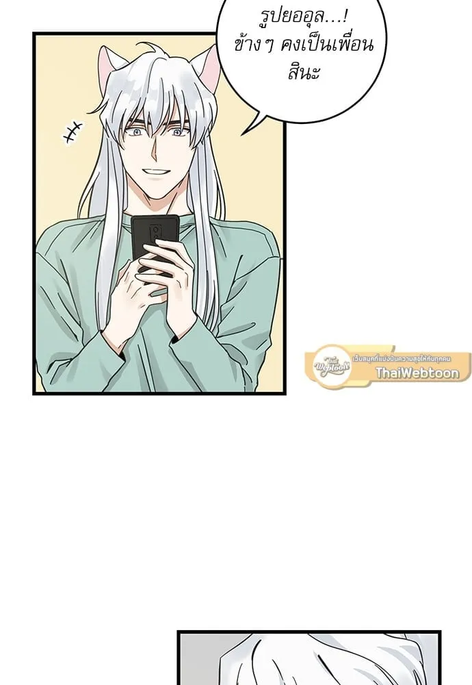 My One and Only Cat ตอนที่ 5405 My One and Only Cat ตอนที่ 5405