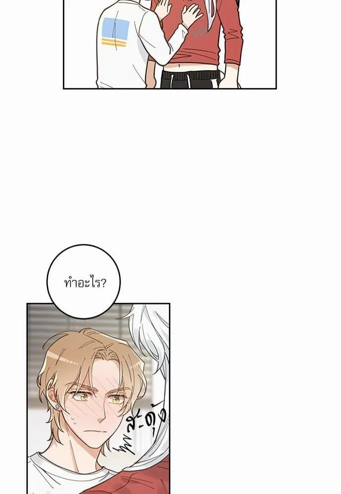 My One and Only Cat ตอนที่ 541 My One and Only Cat ตอนที่ 541