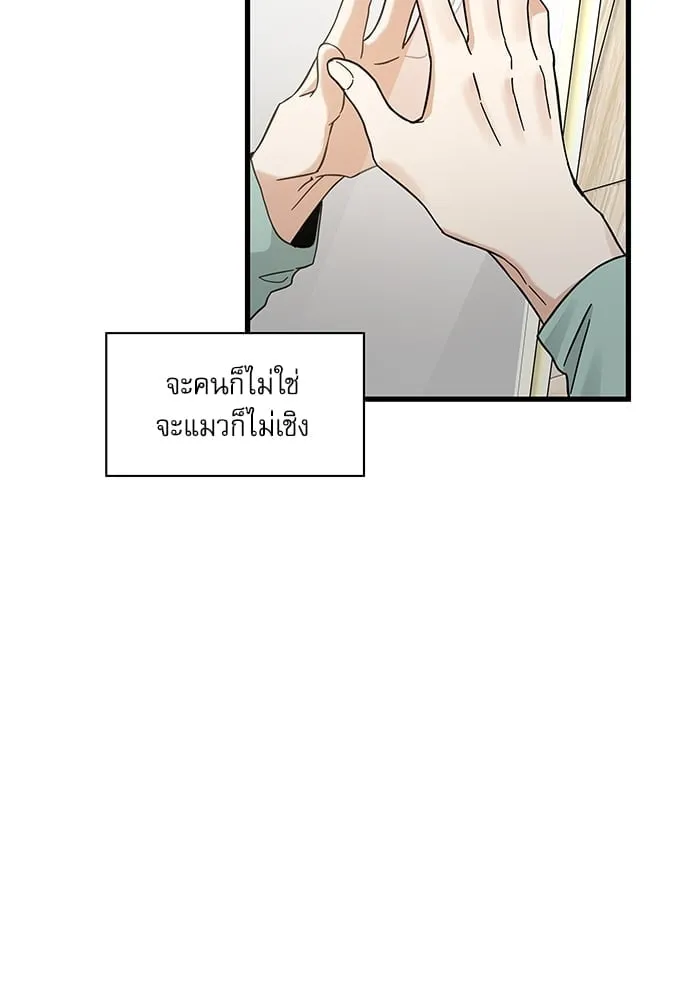 My One and Only Cat ตอนที่ 5414 My One and Only Cat ตอนที่ 5414