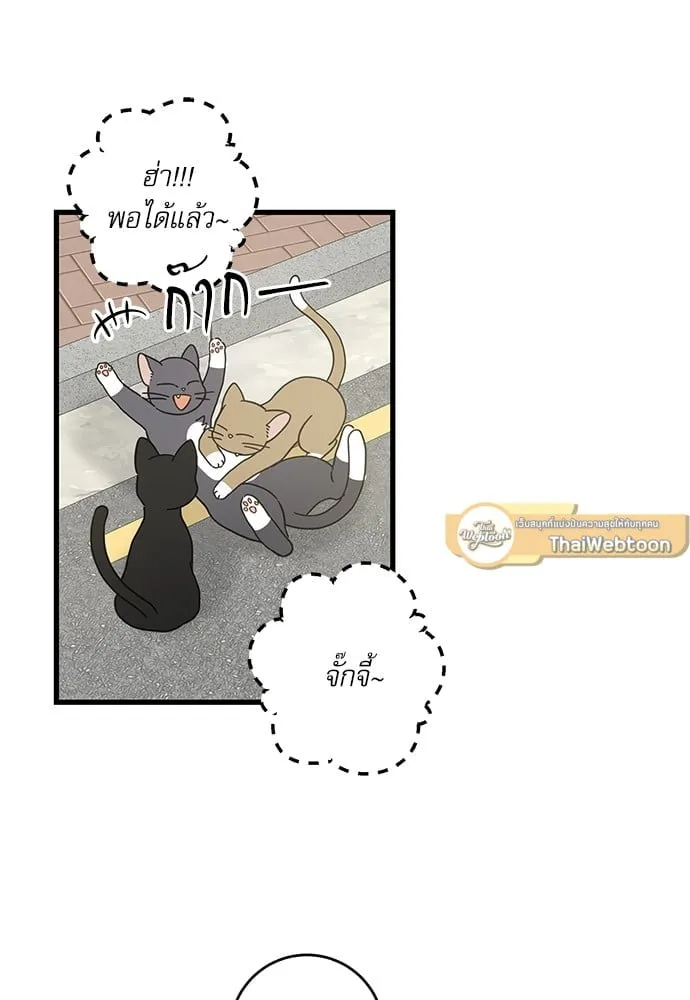 My One and Only Cat ตอนที่ 5418 My One and Only Cat ตอนที่ 5418