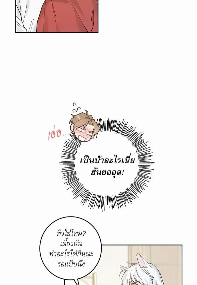 My One and Only Cat ตอนที่ 542 My One and Only Cat ตอนที่ 542