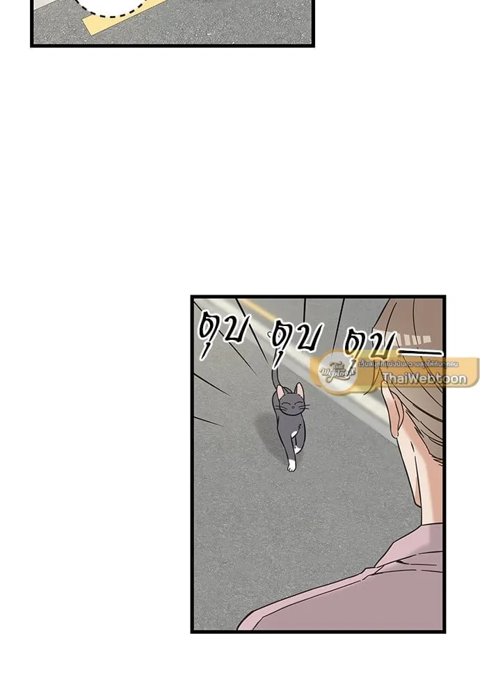 My One and Only Cat ตอนที่ 5422 My One and Only Cat ตอนที่ 5422
