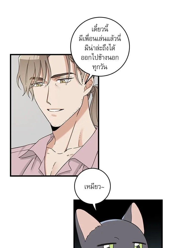 My One and Only Cat ตอนที่ 5423 My One and Only Cat ตอนที่ 5423