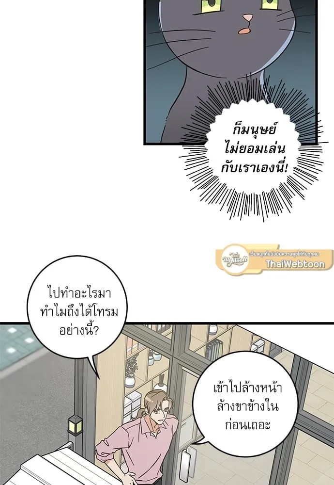 My One and Only Cat ตอนที่ 5424 My One and Only Cat ตอนที่ 5424