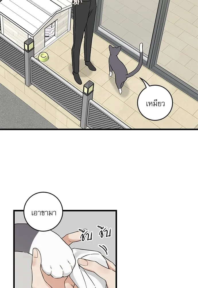 My One and Only Cat ตอนที่ 5425 My One and Only Cat ตอนที่ 5425
