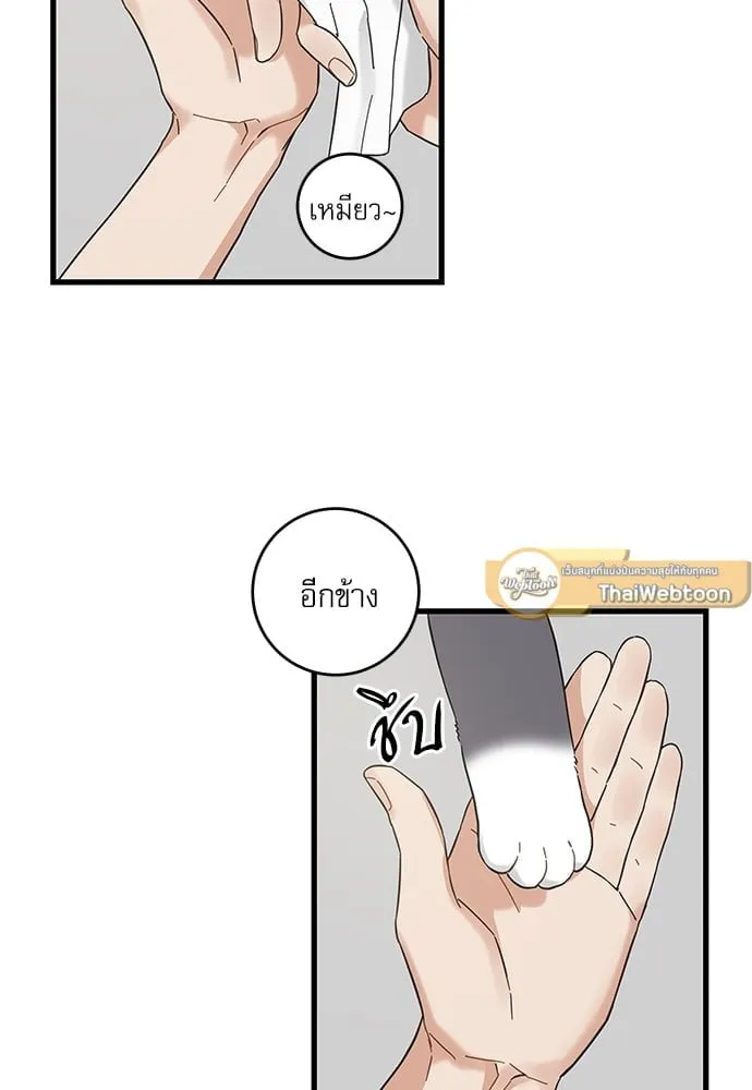 My One and Only Cat ตอนที่ 5426 My One and Only Cat ตอนที่ 5426