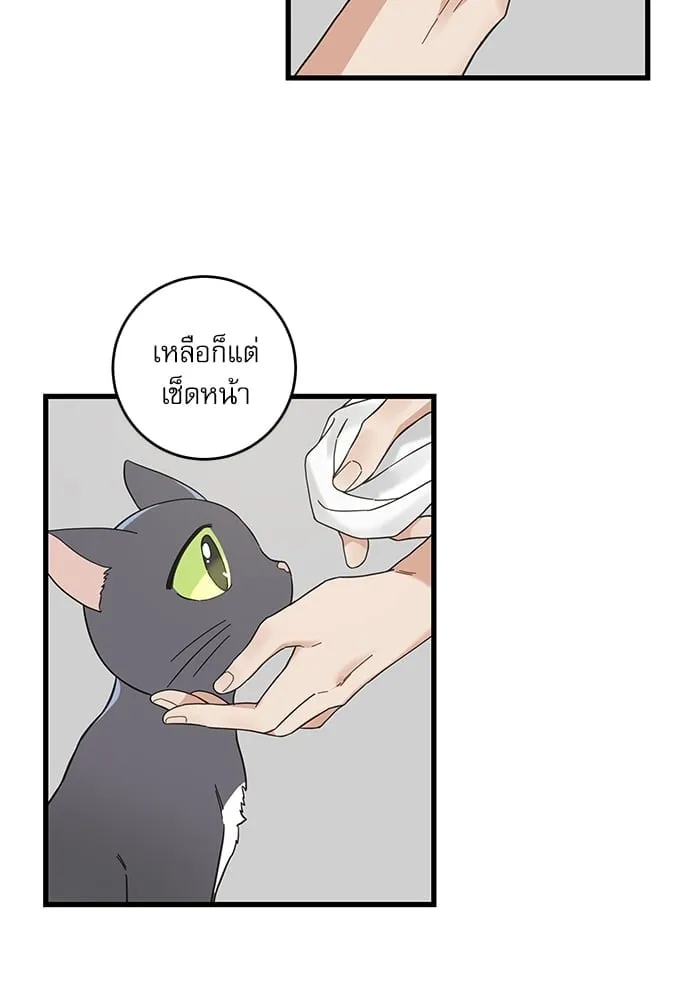 My One and Only Cat ตอนที่ 5427 My One and Only Cat ตอนที่ 5427