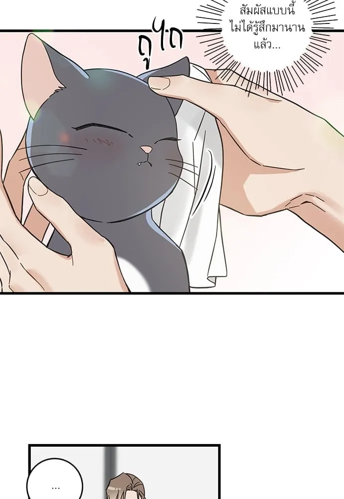 My One and Only Cat ตอนที่ 5429 My One and Only Cat ตอนที่ 5429