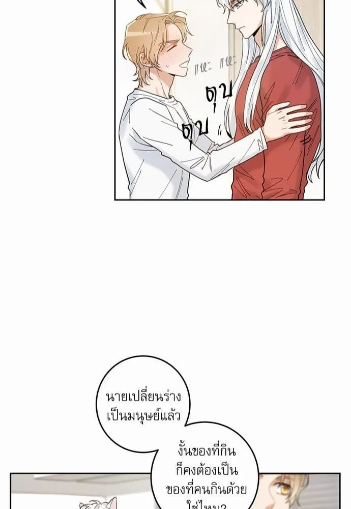 My One and Only Cat ตอนที่ 543 My One and Only Cat ตอนที่ 543