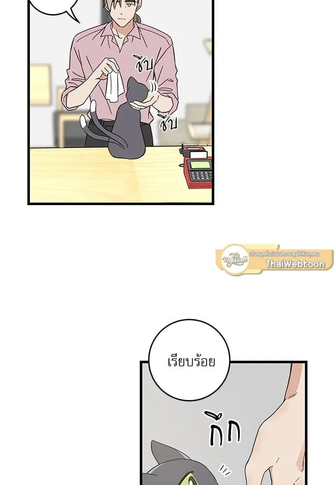 My One and Only Cat ตอนที่ 5430 My One and Only Cat ตอนที่ 5430
