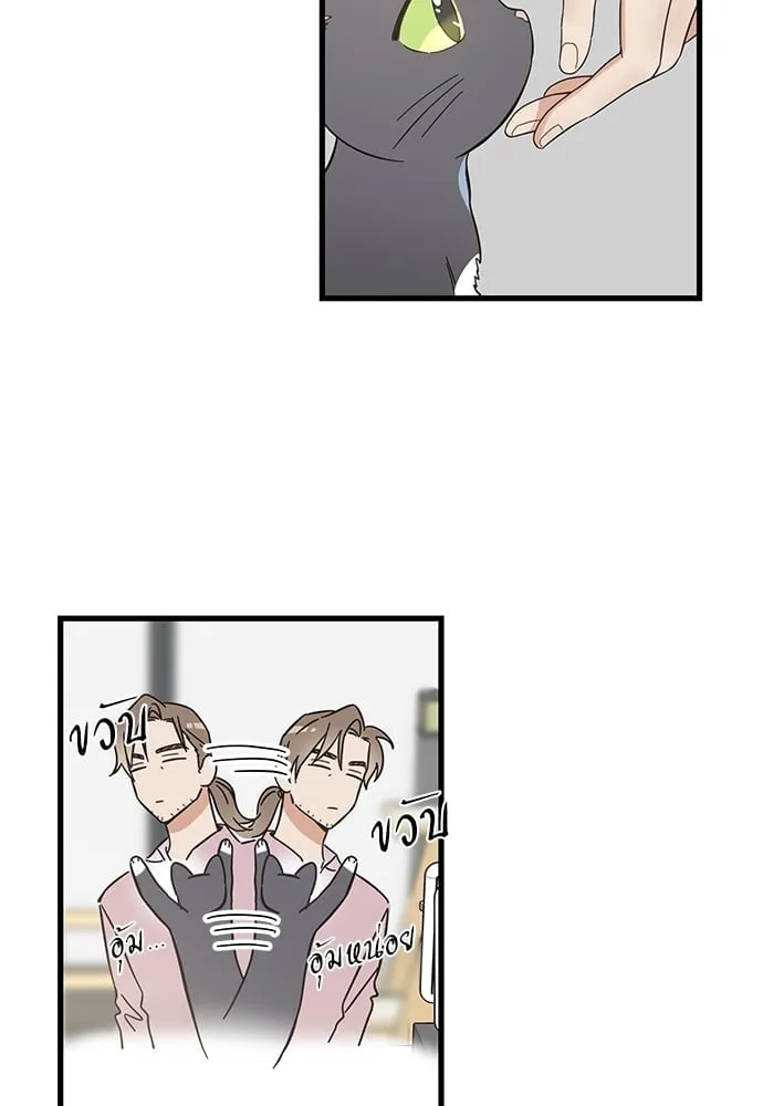 My One and Only Cat ตอนที่ 5431 My One and Only Cat ตอนที่ 5431