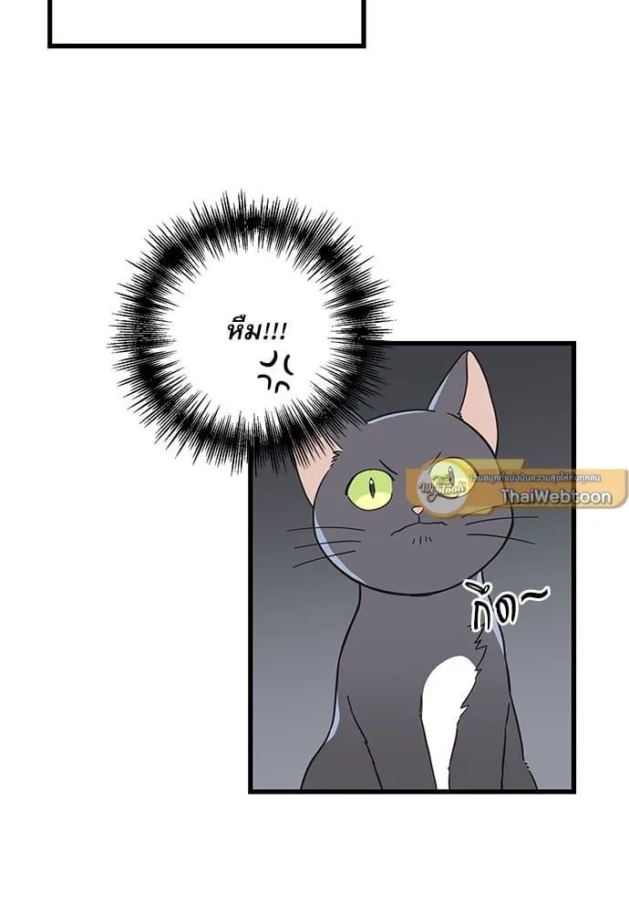 My One and Only Cat ตอนที่ 5432 My One and Only Cat ตอนที่ 5432