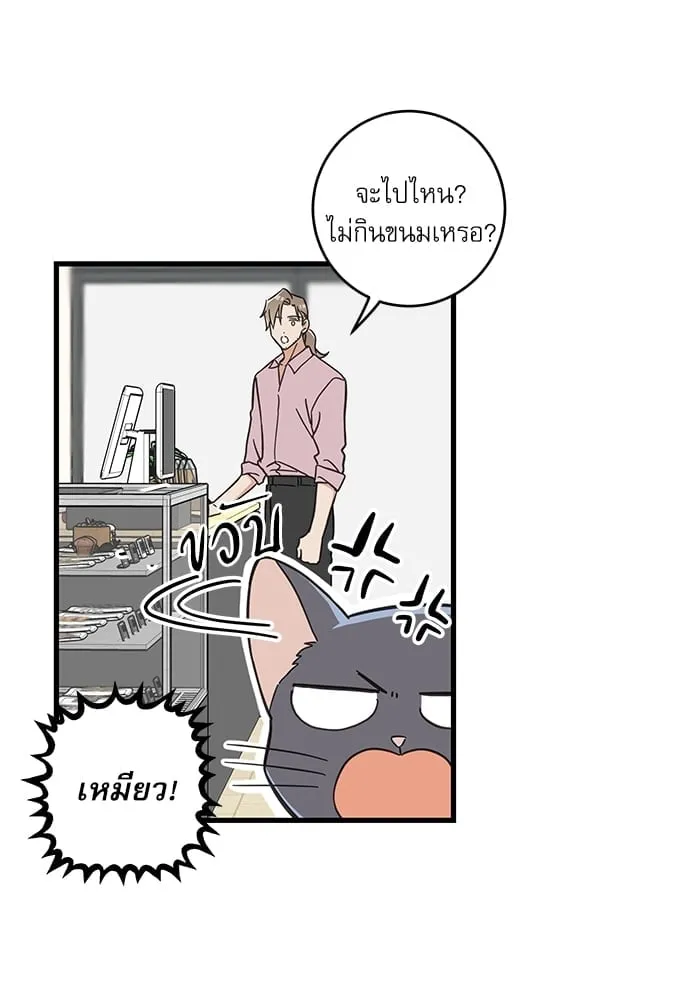 My One and Only Cat ตอนที่ 5433 My One and Only Cat ตอนที่ 5433