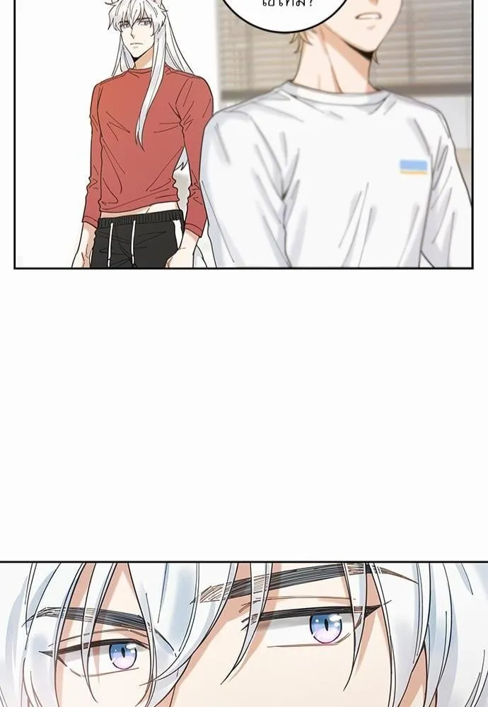 My One and Only Cat ตอนที่ 544 My One and Only Cat ตอนที่ 544