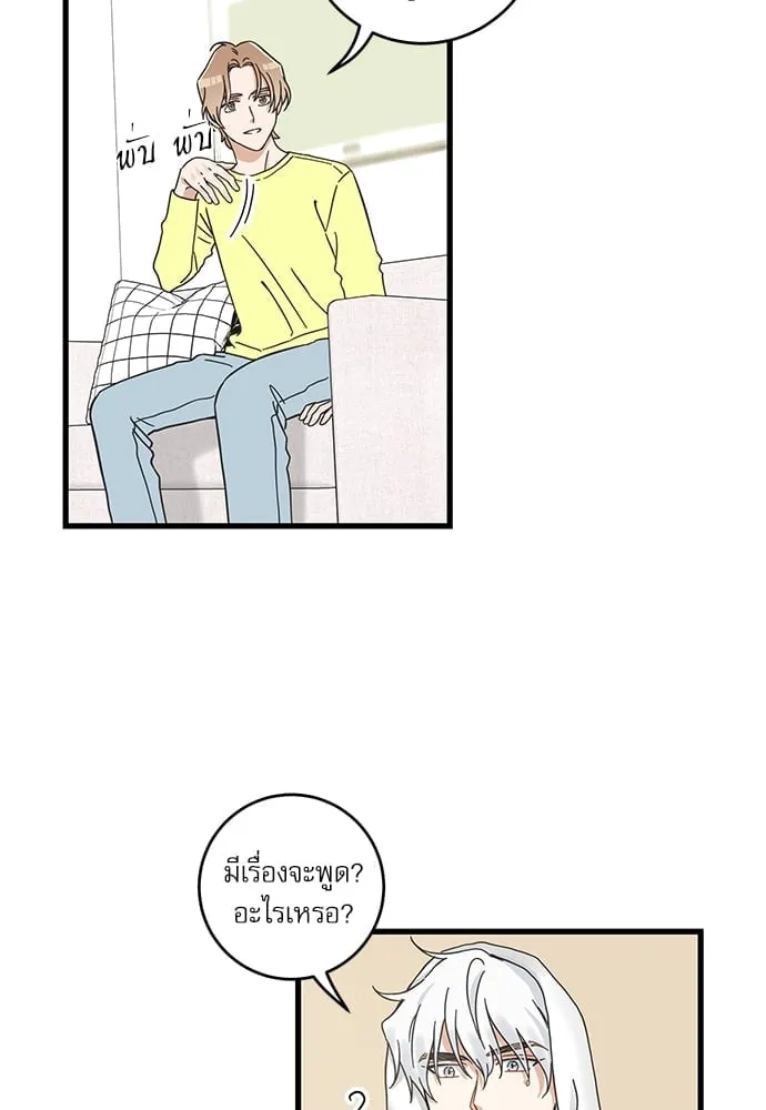 My One and Only Cat ตอนที่ 5441 My One and Only Cat ตอนที่ 5441