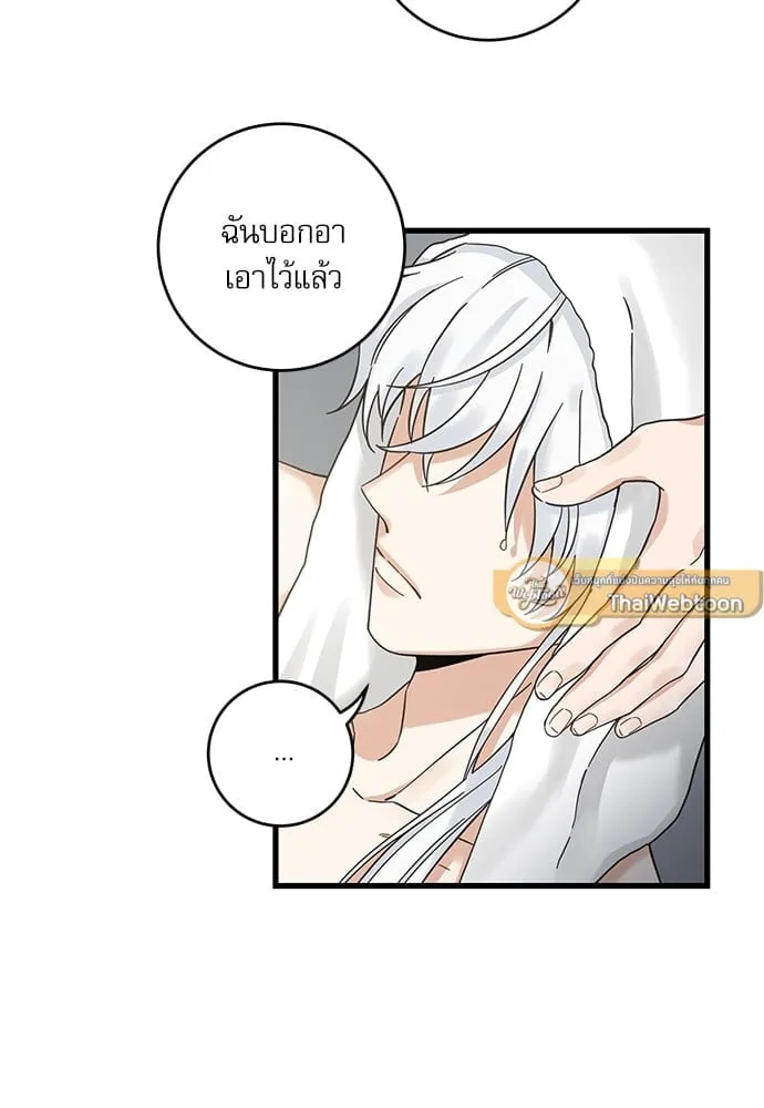 My One and Only Cat ตอนที่ 5446 My One and Only Cat ตอนที่ 5446