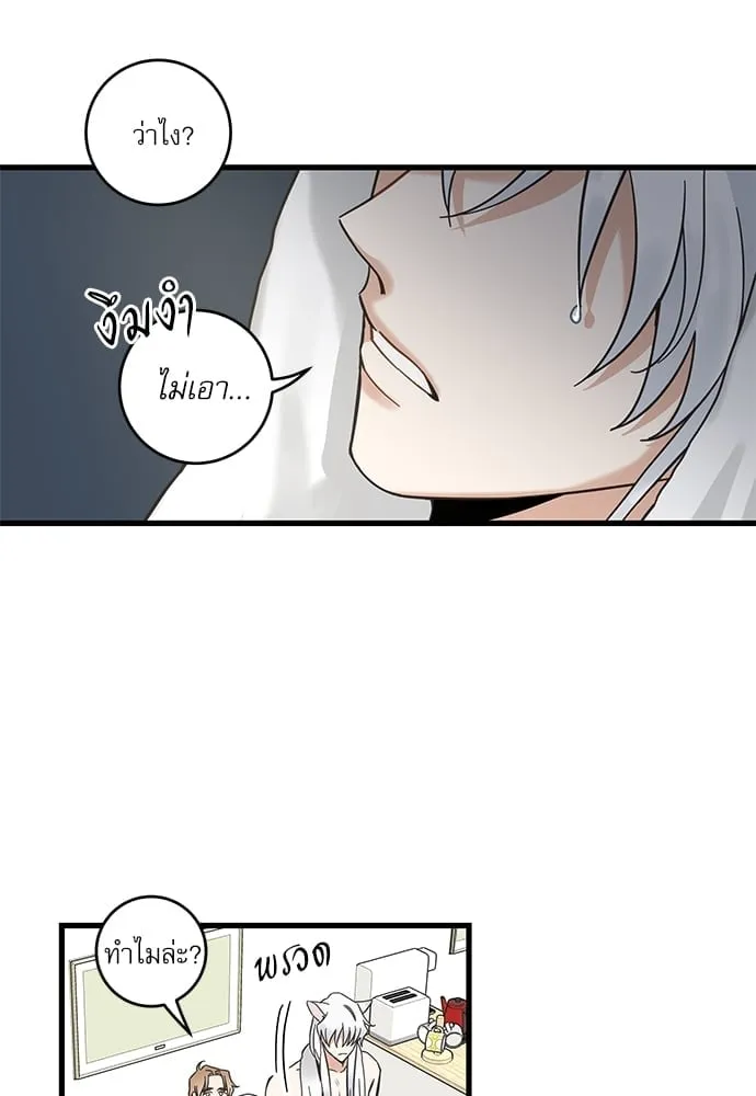 My One and Only Cat ตอนที่ 5447 My One and Only Cat ตอนที่ 5447