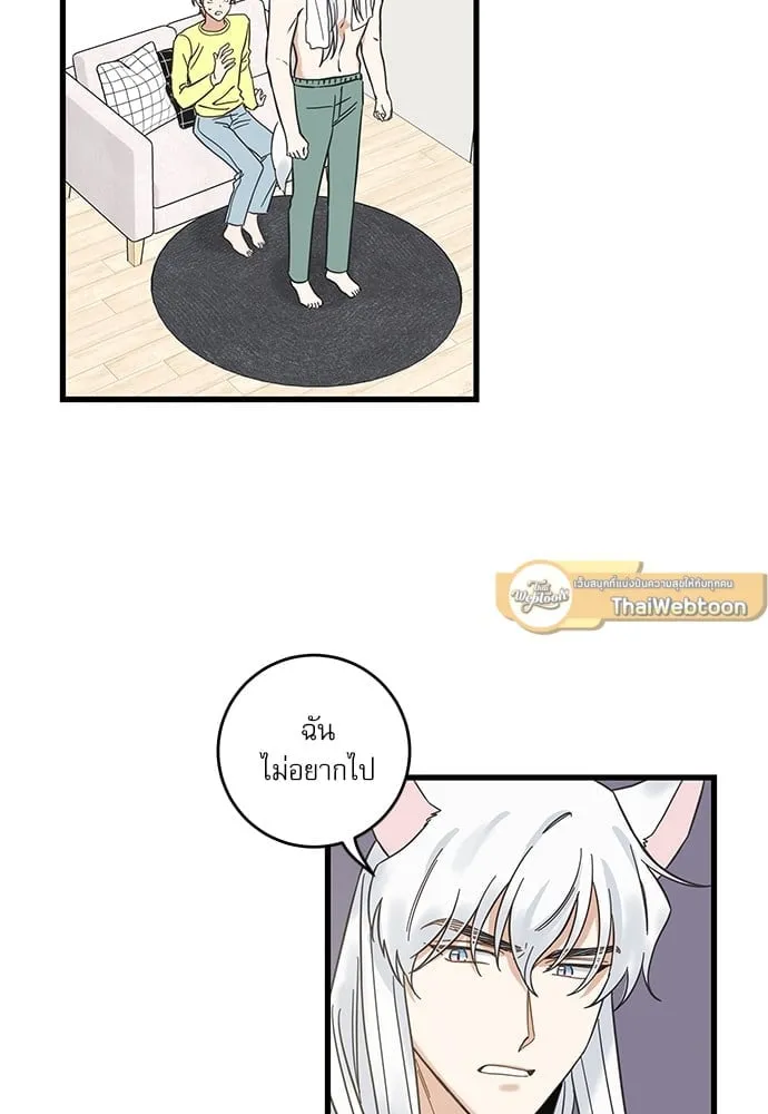 My One and Only Cat ตอนที่ 5448 My One and Only Cat ตอนที่ 5448