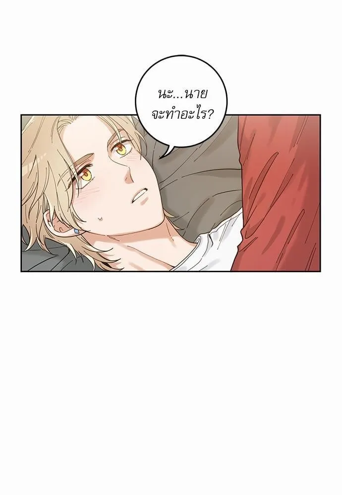 My One and Only Cat ตอนที่ 547 My One and Only Cat ตอนที่ 547