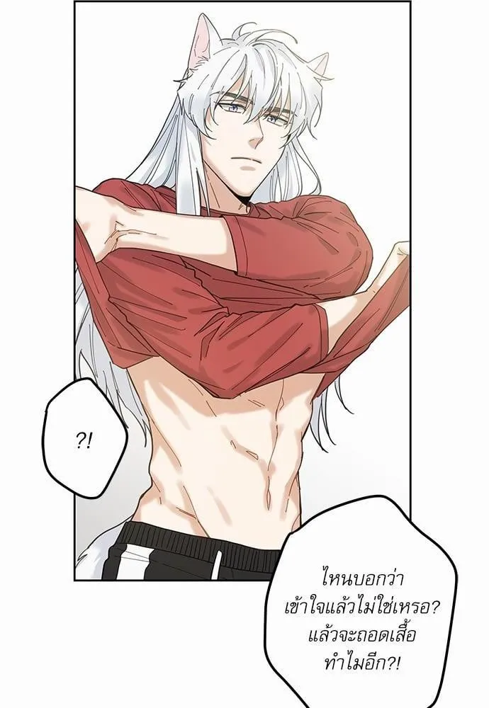 My One and Only Cat ตอนที่ 548 My One and Only Cat ตอนที่ 548