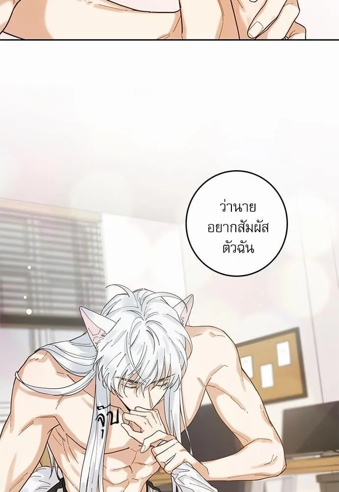 My One and Only Cat ตอนที่ 551 My One and Only Cat ตอนที่ 551