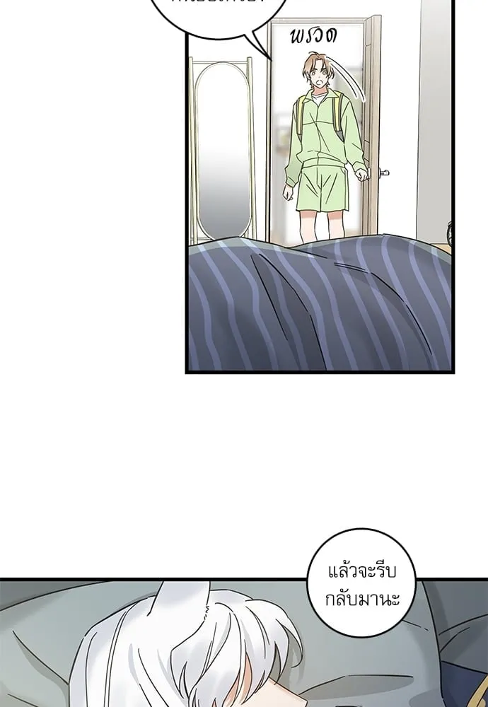 My One and Only Cat ตอนที่ 5514