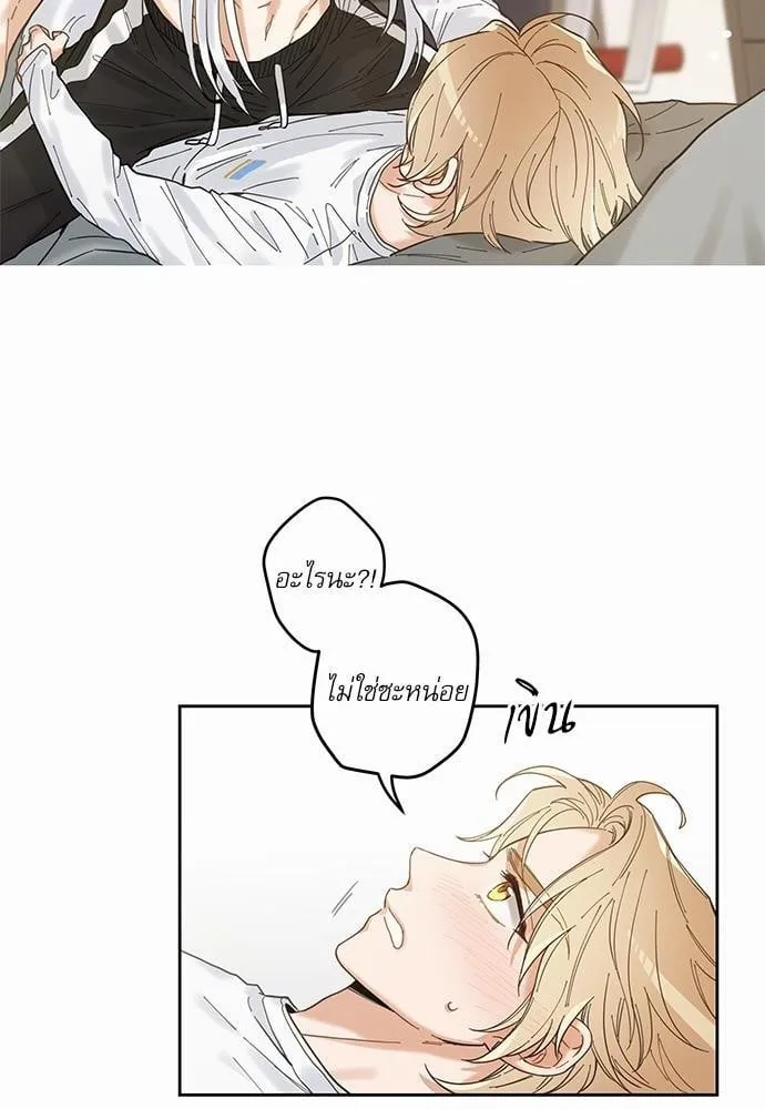 My One and Only Cat ตอนที่ 552 My One and Only Cat ตอนที่ 552