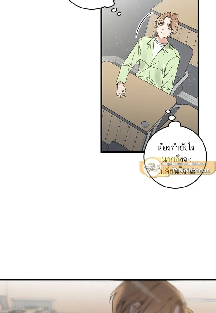 My One and Only Cat ตอนที่ 5529