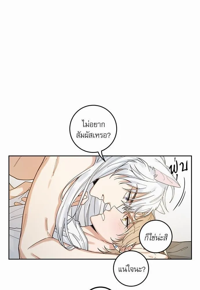 My One and Only Cat ตอนที่ 553 My One and Only Cat ตอนที่ 553