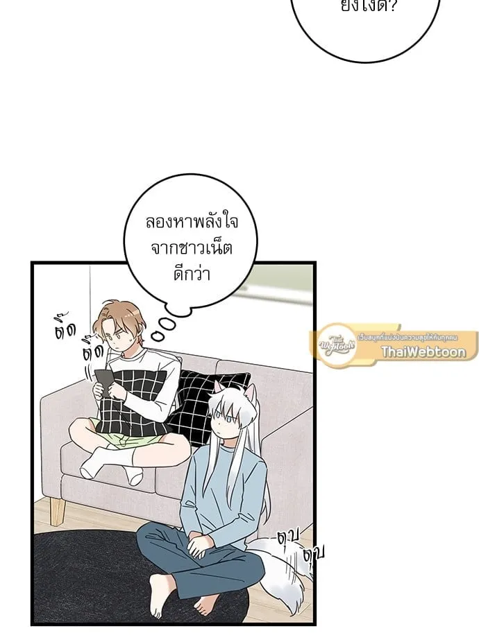 My One and Only Cat ตอนที่ 5535