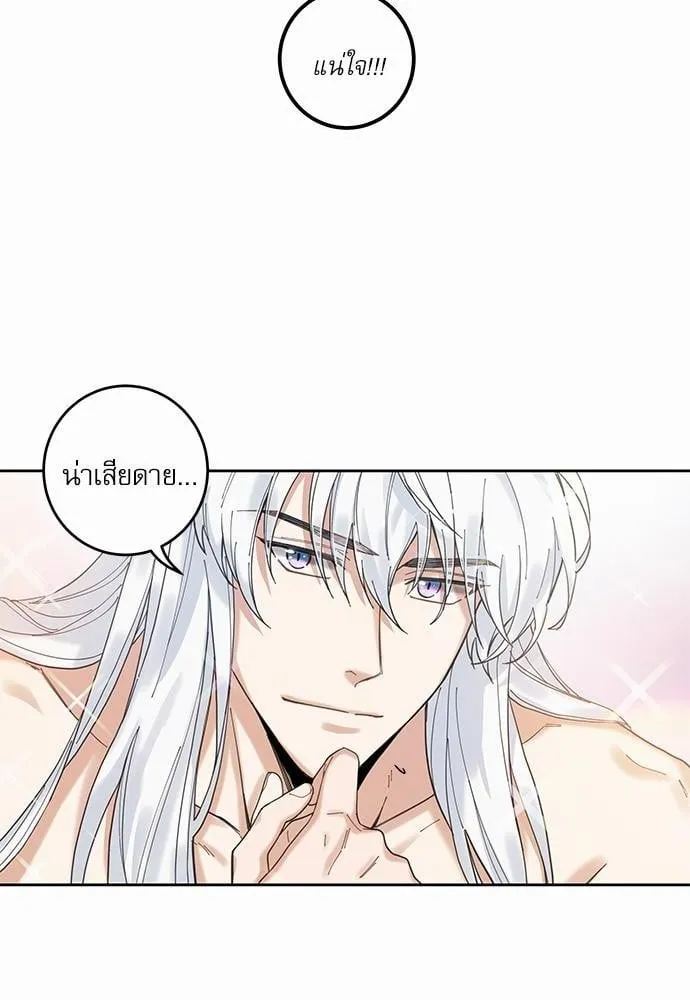 My One and Only Cat ตอนที่ 554 My One and Only Cat ตอนที่ 554