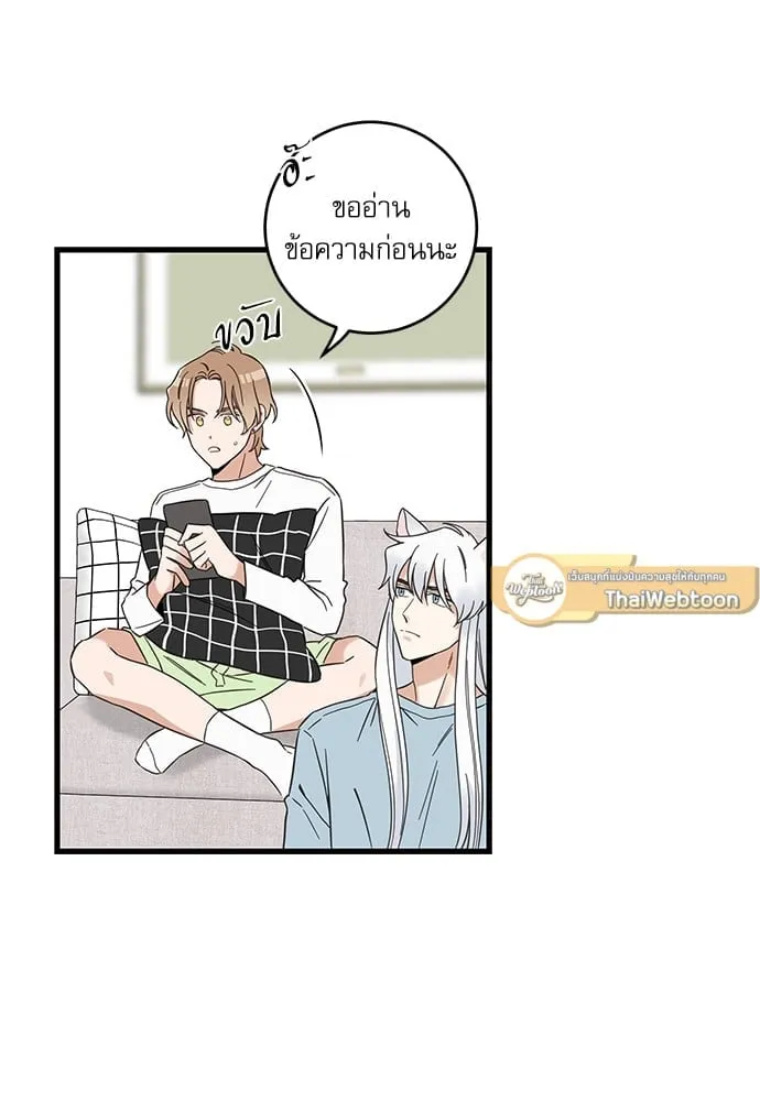 My One and Only Cat ตอนที่ 5547