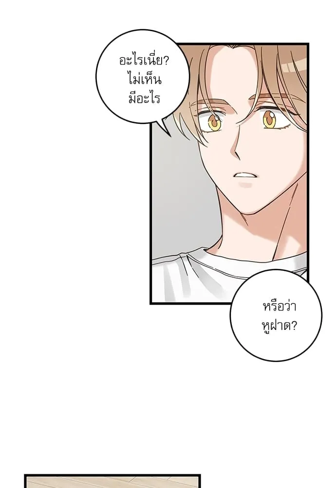 My One and Only Cat ตอนที่ 5548