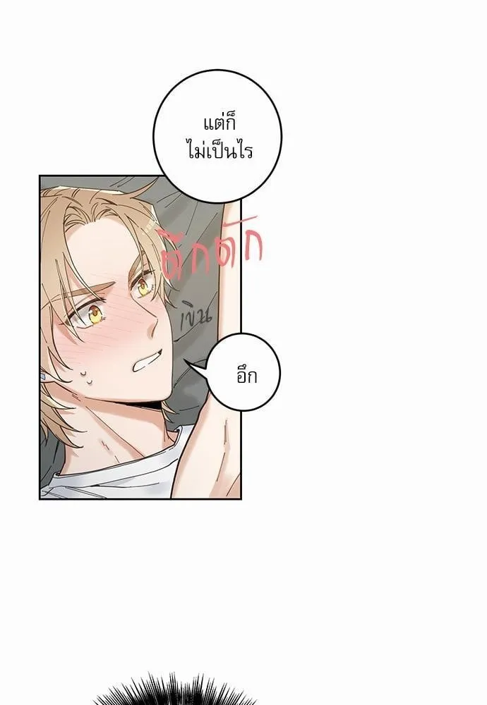 My One and Only Cat ตอนที่ 555 My One and Only Cat ตอนที่ 555